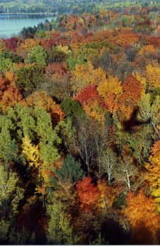 10-Fall-Colours