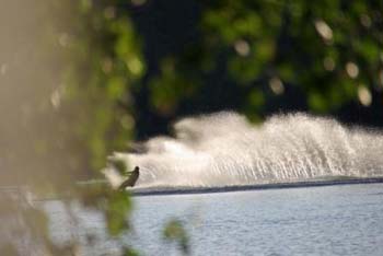 waterski
